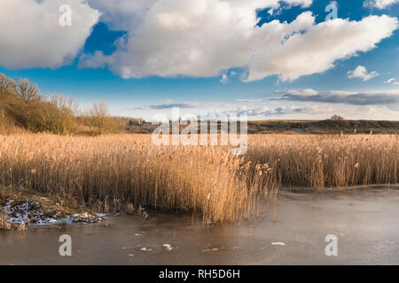 Ein kalter Wintertag am Star Pit lokale Nature Reserve, ein ehemaliger brick Pit im Dogsthorpe, Peterborough, Cambridgeshire, England Stockfoto