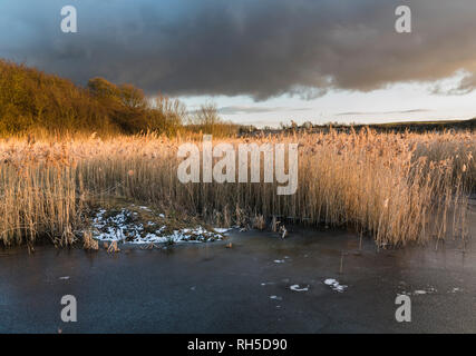 Ein kalter Wintertag am Star Pit lokale Nature Reserve, ein ehemaliger brick Pit im Dogsthorpe, Peterborough, Cambridgeshire, England Stockfoto