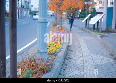 Die Sauberkeit des Landes in Yamanashi Provinz. Fokus auf street light Post Stockfoto
