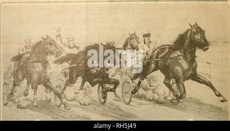 . Züchter und Sportler. Pferde. ib grihe gverelrev Mtb^ ovtsmmt: 17. Juni 1905. Foto von DAN PATCH 1:56 iHWof^!! Wunderbare MEILEN Diese Gravur von einem Foto von Dan Patch in einem Seiner wunderbaren Geschwindigkeit messen.^ Es zeigt Dan durch die Luft fliegen mit noch "Fuß vom Boden an, und es ist so natürlich und Leben - Wie als wenn Sie ihn in einer seiner sensationellen Meilen gesehen. Sie werden bemerken, dass Dan Patch ist die Stimulation in seinem glatten und majestätische Art und Weise, während die drei Läufer werden durch Sprach- und Peitsche in ihre enorme Anstrengungen erforderlich, mit Dan in seinem Datensatz beizubehalten - Bre gedrängt Stockfoto