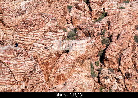 Wirbelnder Stein -Textur, Red Rock Canyon, Las Vegas, Nevada, USA, Stockfoto