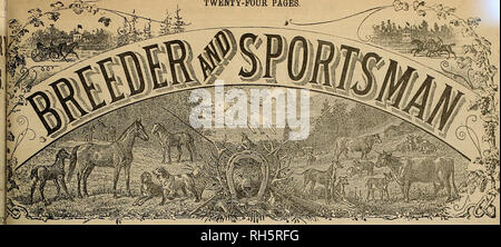. Züchter und Sportler. Pferde. Vierundzwanzig Seiten.. SAN FRANCISCO, Samstag, 16. Juli 1892. Abonnement für fünf Dollar pro Jahr. 1. Bitte beachten Sie, dass diese Bilder sind von der gescannten Seite Bilder, die digital für die Lesbarkeit verbessert haben mögen - Färbung und Aussehen dieser Abbildungen können nicht perfekt dem Original ähneln. extrahiert. San Francisco, Calif.: [s. n. ] Stockfoto