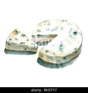 Gorgonzola aquarell Bild auf weißem Hintergrund Stockfoto