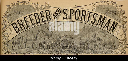 . Züchter und Sportler. Pferde. SAN FKANCISCO, Samstag, 14. Juni 1884. Abonnement 5 DOLLAKS eine TEAB. Der Graf von Glasgow. Folgende interessante Skizze eines der größten und edelsten Sportler, die jemals in der englischen Lizenzierte Viciualer's Gazelle lebte, erschien: der Graf von Glasgow, die in sportlichen Eine-nals als Herrn Kelburne besser bekannt ist, wurde in Renfrewshire am 10. April 1792 geboren. Trat er in die Royal Navy als midshipman auf die übliche Ausschreibung a^e wenn marineoffiziere Ihre beschwerliche Ausbildung beginnen, und schließlich stieg in den Rang eines Com-Mander. Die Marine war eine grobe Schule in Stockfoto