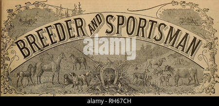 . Züchter und Sportler. Pferde. - S5 = ^A". SAN FKANCISCO, Samstag, DEZ. 29., 1883. Die Abbildungen. Unsere Leser werden mit uns vereinbaren, wir denken, in denen die Darstellungen von feinen stellte die Tiere in dieser Ausgabe, die Anzahl der Band III, des Züchters ast&gt; Sportler. Von der ersten Porträt veröffentlicht, bis diese, die Serie haben uneingeschränktes Lob wie die besten Bilder von Pferden gesehen durch ein Papier in jedem Land veröffentlicht. Der Künstler, E. Wytten- zurück gewonnen hat einen weltweiten Ruf für die meisterhafte de-lineations, und hätte er in dem Wunsch, dass Kalifornien gewesen wäre. Stockfoto