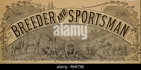 . Züchter und Sportler. Pferde. SAN FKANCISCO, Samstag, DEZ. 22., 1883. Abonnement für fünf Dollar eine Träne. Die Sacramento Rennstrecke. Während unserer letzten Reise in die Hauptstadt machten wir einen Run auf die Rennstrecke, und habe einen halben Tag mit dem thoroughbreds, • Wo wir uns sehr genossen. Die Ställe weitestgehend vertreten waren die des Herrn Theodore Winter und Sir. J. B. jagen. Das ehemalige Herrenhaus hatte neun Tiere in Arbeit, eine Bekanntmachung über die, die interessant für unsere Reiter sein, wie einige von ihnen gaben Versprechen ihre Spuren in dieser Saison. Hattie B, vier Jahre alt, war der erste sahen wir, Stockfoto