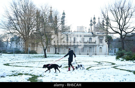 Brighton UK 1. Februar 2019 - ein Hund Walker von der Royal Pavilion in Brighton nach einem starken Schneefall über Nacht. Der Schnee und das Eis verursacht hat Probleme mit den öffentlichen Verkehrsmitteln im gesamten Süden und viele Schulen in Großbritannien Credit geschlossen sind: Simon Dack/Alamy leben Nachrichten Stockfoto