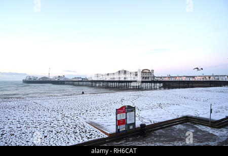 Brighton UK 1. Februar 2019 - Brighton Beach am frühen Morgen nach einem starken Schneefall über Nacht. Der Schnee und das Eis verursacht hat Probleme mit den öffentlichen Verkehrsmitteln im gesamten Süden und viele Schulen in Großbritannien Credit geschlossen sind: Simon Dack/Alamy leben Nachrichten Stockfoto