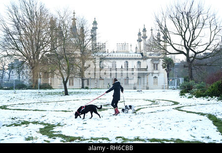 Brighton UK 1. Februar 2019 - ein Hund Walker von der Royal Pavilion in Brighton nach einem starken Schneefall über Nacht. Der Schnee und das Eis verursacht hat Probleme mit den öffentlichen Verkehrsmitteln im gesamten Süden und viele Schulen in Großbritannien Credit geschlossen sind: Simon Dack/Alamy leben Nachrichten Stockfoto