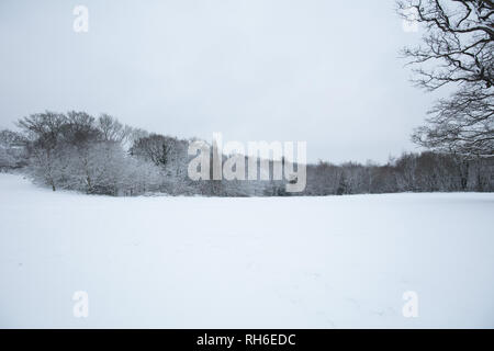 London, Großbritannien. 2. Februar, 2019. Winter Szene in einem Park der Londoner Vorort Mill Hill. Credit: Joe Kuis/Alamy leben Nachrichten Stockfoto