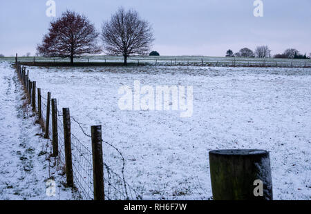 Schnee im Great Bardfield Braintree Essex UK am ersten Februar 2019 Stockfoto