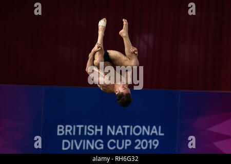 Plymouth, Großbritannien. 1. Feb 2019. Nicolas Carcia Boissier - (ESP) in Männer Prelim während der Britischen Nationalen Tauchen Cup 2019 in Plymouth Life Center am Freitag, den 01. Februar 2019. PLYMOUTH ENGLAND. (Nur redaktionelle Nutzung, eine Lizenz für die gewerbliche Nutzung erforderlich. Keine Verwendung in Wetten, Spiele oder einer einzelnen Verein/Liga/player Publikationen.) Credit: Taka G Wu/Alamy Nachrichten Stockfoto