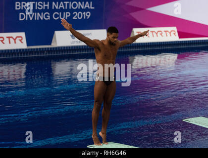Plymouth, Großbritannien. 1. Feb 2019. Yona Kight-Wisdom - (JAM) in Männer Prelim während der Britischen Nationalen Tauchen Cup 2019 in Plymouth Life Center am Freitag, den 01. Februar 2019. PLYMOUTH ENGLAND. (Nur redaktionelle Nutzung, eine Lizenz für die gewerbliche Nutzung erforderlich. Keine Verwendung in Wetten, Spiele oder einer einzelnen Verein/Liga/player Publikationen.) Credit: Taka G Wu/Alamy Nachrichten Stockfoto