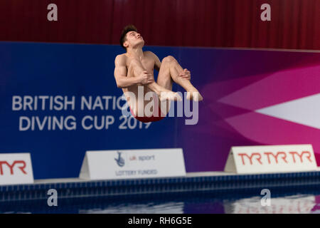 Plymouth, Großbritannien. 1. Feb 2019. Anthony Harding - KALT in Männer Prelim während der Britischen Nationalen Tauchen Cup 2019 in Plymouth Life Center am Freitag, den 01. Februar 2019. PLYMOUTH ENGLAND. (Nur redaktionelle Nutzung, eine Lizenz für die gewerbliche Nutzung erforderlich. Keine Verwendung in Wetten, Spiele oder einer einzelnen Verein/Liga/player Publikationen.) Credit: Taka G Wu/Alamy Nachrichten Stockfoto