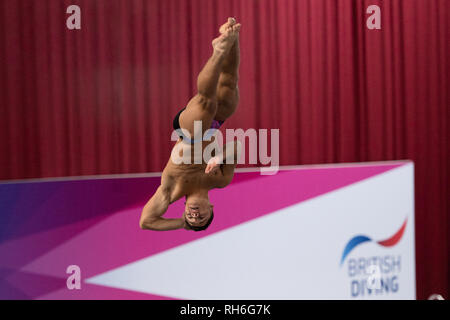 Plymouth, Großbritannien. 1. Feb 2019. Jordan Houlden - Modellbau in Männer Prelim während der Britischen Nationalen Tauchen Cup 2019 in Plymouth Life Center am Freitag, den 01. Februar 2019. PLYMOUTH ENGLAND. (Nur redaktionelle Nutzung, eine Lizenz für die gewerbliche Nutzung erforderlich. Keine Verwendung in Wetten, Spiele oder einer einzelnen Verein/Liga/player Publikationen.) Credit: Taka G Wu/Alamy Nachrichten Stockfoto