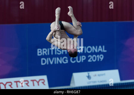 Plymouth, Großbritannien. 1. Feb 2019. Oliver Crompton - KALT in Männer Prelim während der Britischen Nationalen Tauchen Cup 2019 in Plymouth Life Center am Freitag, den 01. Februar 2019. PLYMOUTH ENGLAND. (Nur redaktionelle Nutzung, eine Lizenz für die gewerbliche Nutzung erforderlich. Keine Verwendung in Wetten, Spiele oder einer einzelnen Verein/Liga/player Publikationen.) Credit: Taka G Wu/Alamy Nachrichten Stockfoto