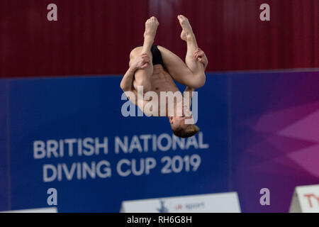 Plymouth, Großbritannien. 1. Feb 2019. Cameron Gammage-SDA in Männer Prelim während der Britischen Nationalen Tauchen Cup 2019 in Plymouth Life Center am Freitag, den 01. Februar 2019. PLYMOUTH ENGLAND. (Nur redaktionelle Nutzung, eine Lizenz für die gewerbliche Nutzung erforderlich. Keine Verwendung in Wetten, Spiele oder einer einzelnen Verein/Liga/player Publikationen.) Credit: Taka G Wu/Alamy Nachrichten Stockfoto