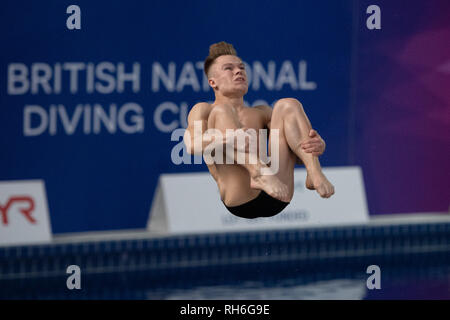 Plymouth, Großbritannien. 1. Feb 2019. Cameron Gammage-SDA in Männer Prelim während der Britischen Nationalen Tauchen Cup 2019 in Plymouth Life Center am Freitag, den 01. Februar 2019. PLYMOUTH ENGLAND. (Nur redaktionelle Nutzung, eine Lizenz für die gewerbliche Nutzung erforderlich. Keine Verwendung in Wetten, Spiele oder einer einzelnen Verein/Liga/player Publikationen.) Credit: Taka G Wu/Alamy Nachrichten Stockfoto