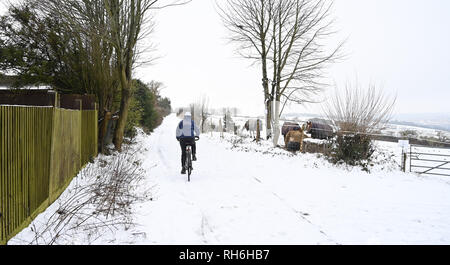 Brighton UK 1. Februar 2019 - DE Wetter: ein Radfahrer macht Ihren Weg entlang einer Trakt Woodingdean in der Nähe von Brighton nach einem starken Schneefall über Nacht. Der Schnee und das Eis verursacht hat Probleme mit den öffentlichen Verkehrsmitteln im gesamten Süden und viele Schulen in Großbritannien Credit geschlossen sind: Simon Dack/Alamy leben Nachrichten Stockfoto