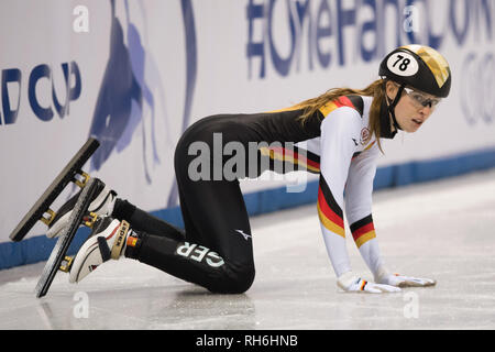 Dresden, Deutschland. 01 Feb, 2019. Shorttrack: Wm, vorläufige, 1000 Meter Frauen in den EnergieVerbund Arena. Gina Jacobs aus Deutschland kniet nach einem Sturz auf dem Eis. Credit: Sebastian Kahnert/dpa-Zentralbild/dpa/Alamy leben Nachrichten Stockfoto