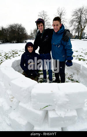 Bristol, UK. 01 Feb, 2019. UK Wetter. Drei Jungs aus Bristol beschlossen, ihre Hand am Gebäude ein Iglu aus Schnee, der über Nacht auf und rund um den Bereich fiel zu versuchen. Die Bilder zeigen Ihnen das Gebäude auf den Nach unten. Foto: Robert Timoney/Alamy leben Nachrichten Stockfoto