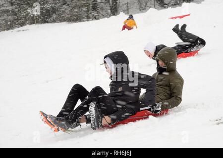 Box, Wiltshire, UK. 1. Feb. Kinder Rodeln die schneebedeckten Hänge der "Gemeinsamen in fallenden Schnee. Credit: Nick Upton/Alamy Leben Nachrichten. Stockfoto