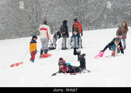 Box, Wiltshire, UK. 1. Feb. Kinder Rodeln die schneebedeckten Hänge der "Gemeinsamen in fallenden Schnee. Credit: Nick Upton/Alamy Leben Nachrichten. Stockfoto