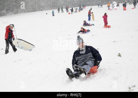 Box, Wiltshire, UK. 1. Feb. Leute hinunter rodeln die schneebedeckten Hänge der "Gemeinsamen in fallenden Schnee. Credit: Nick Upton/Alamy Leben Nachrichten. Stockfoto