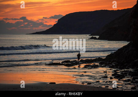 Caswell Bay, Swansea. 1. Feb 2019. UK Wetter: ein Mann Joggen am Strand, während ein Surfer die Wellen an Caswell Bay in der Nähe von Swansea heute Abend, wenn die Sonne am Ende eines kalten Wintern. Credit: Phil Rees/Alamy leben Nachrichten Stockfoto