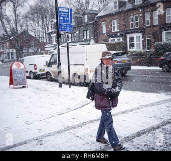 Sheffield, Großbritannien. 1. Feb 2019. Ein Mann geht eine Straße, wie mit Schnee bedeckt. während eines Schneefalls in Sheffield City Centre. Großbritannien ist ein schlechtes Wetter, wie das ganze Land schneit bei sehr niedrigen Temperaturen, vor allem im Süden Englands. Credit: Ioannis Alexopoulos/Alamy leben Nachrichten Stockfoto