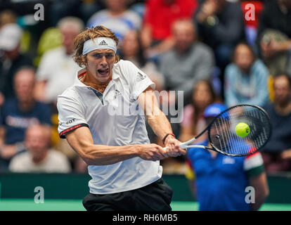 Frankfurt am Main, Deutschland. 01 Feb, 2019. Alexander (Sascha) ZVEREV, GER in Aktion, Vorhand, Rückhand, Service, in seinem Match gegen Peter Nagy, HUN DEUTSCHLAND-UNGARN Qualifier Runde Mens Tennis Davis Cup in Frankfurt, Deutschland, 01. Februar 2019 Saison 2018/2019, Kredit: Peter Schatz/Alamy leben Nachrichten Stockfoto