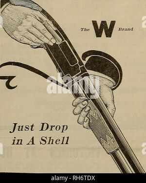 . Züchter und Sportler. Pferde. Kommen Sie einfach in einer Shell den Repeater, die leicht zu einer Funktion von der Winchester Modell 1912 Hammerlose wiederholt - Schrotflinte, die sehr geschätzt und hat sich günstige Kommentar von Grin Nutzer im Allgemeinen entstehen, Laden, und durch trapshooters Insbesondere, ist die Leichtigkeit, mit der es geladen werden kann. Das Magazin wird einfach durch Festlegung der Shell auf dem Träger, durch die Öffnung auf der Unterseite des Empfängers, und es geht nach vorne in das Magazin geladen. Wenn es als einzelne Lader, wie für Trap schießen verwendet, Laden besteht aus Eröffnung der Aktion, fallen die Shell in Stockfoto