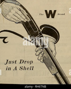 . Züchter und Sportler. Pferde. Kommen Sie einfach in einer Shell den Repeater, die leicht zu einer Funktion von der Winchester Modell 1912 Hammerlose wiederholen Schrotflinte, die sehr geschätzt und hat sich günstige Kommentar von gun Benutzer im Allgemeinen entstehen, Laden, und durch trapshooters Insbesondere, ist die Leichtigkeit, mit der es geladen werden kann. Das Magazin wird einfach durch Festlegung der Shell auf dem Träger, durch die Öffnung auf der Unterseite des Empfängers, und es geht nach vorne in das Magazin geladen. Wenn es als einzelne Lader, wie für Trap schießen verwendet, Laden besteht aus Eröffnung der Aktion, fallen die Shell in t Stockfoto