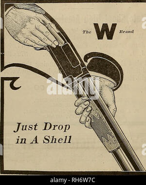 . Züchter und Sportler. Pferde. Der Repeater, die leicht zu einer Funktion von der Winchester Modell 1912 Hammerlose wiederholen Schrotflinte, die sehr geschätzt und hat sich günstige Kommentar von gun Benutzer im Allgemeinen entstehen, Laden, und durch trapshooters Insbesondere, ist die Leichtigkeit, mit der es geladen werden kann. Das Magazin wird einfach durch Festlegung der Shell auf dem Träger, durch die Öffnung auf der Unterseite des Empfängers, und es geht nach vorne in das Magazin geladen. Wenn es als einzelne Lader, wie für Trap schießen verwendet, Laden besteht aus Eröffnung der Aktion, das Fallenlassen der Shell an der Seite des Receiv Stockfoto