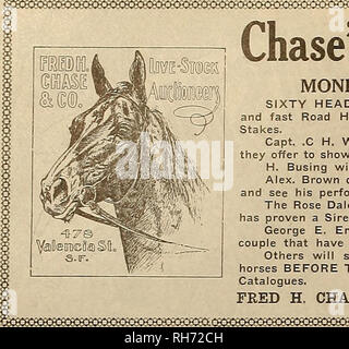 . Züchter und Sportler. Pferde. Der Züchter und Sportler [Samstag, 30. November 1907.. KesKKoaaaKaaaaaaaoKKKt Chase's Holiday Sale. Bitte beachten Sie, dass diese Bilder sind von der gescannten Seite Bilder, die digital für die Lesbarkeit verbessert haben mögen - Färbung und Aussehen dieser Abbildungen können nicht perfekt dem Original ähneln. extrahiert. San Francisco, Calif.: [s. n. ] Stockfoto