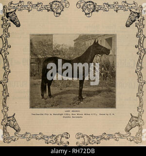 . Züchter und Sportler. Pferde. Band LI. Nr. 22. Samstag. Am 30. November. 1907. Abonnement - $ 3.00 pro Jahr. Bitte beachten Sie, dass diese Bilder sind von der gescannten Seite Bilder, die digital für die Lesbarkeit verbessert haben mögen - Färbung und Aussehen dieser Abbildungen können nicht perfekt dem Original ähneln. extrahiert. San Francisco, Calif.: [s. n. ] Stockfoto