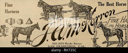 . Züchter und Sportler. Pferde. 16 Der Züchter und Sportler [ Samstag, 9. November 1907. Kabelbaum in Ordnung. Das beste Pferd Stiefel Jtne Kabelbaum nORSEBOOTS 321-323 Hyde Street SAN FRANCISCO, CAL. Bitte beachten Sie, dass diese Bilder sind von der gescannten Seite Bilder, die digital für die Lesbarkeit verbessert haben mögen - Färbung und Aussehen dieser Abbildungen können nicht perfekt dem Original ähneln. extrahiert. San Francisco, Calif.: [s. n. ] Stockfoto