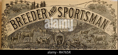 . Züchter und Sportler. Pferde. VOL. XL Nr. 26. 36 die Geary Street. SAN FRANCISCO, Samstag, 28. Juni 1902. Abonnement für drei Dollar ein Ja. Bitte beachten Sie, dass diese Bilder sind von der gescannten Seite Bilder, die digital für die Lesbarkeit verbessert haben mögen - Färbung und Aussehen dieser Abbildungen können nicht perfekt dem Original ähneln. extrahiert. San Francisco, Calif.: [s. n. ] Stockfoto