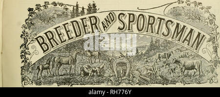 . Züchter und Sportler. Pferde. Band XLIX. Nr. 15. Samstag, 3. November 1906 Abonnement $ 3.00 pro Jahr. © • c; © - - ©. Bitte beachten Sie, dass diese Bilder sind von der gescannten Seite Bilder, die digital für die Lesbarkeit verbessert haben mögen - Färbung und Aussehen dieser Abbildungen können nicht perfekt dem Original ähneln. extrahiert. San Francisco, Calif.: [s. n. ] Stockfoto