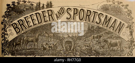 . Züchter und Sportler. Pferde. VOL. XL Nr. 23 38 GEARY STREET SAN FRANCISCO, Samstag, 7. Juni 1902. Abonnement für drei Dollar ein YEAB. Bitte beachten Sie, dass diese Bilder sind von der gescannten Seite Bilder, die digital für die Lesbarkeit verbessert haben mögen - Färbung und Aussehen dieser Abbildungen können nicht perfekt dem Original ähneln. extrahiert. San Francisco, Calif.: [s. n. ] Stockfoto