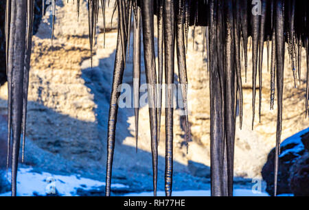 Viele Eiszapfen von der Decke der Höhle Stockfoto