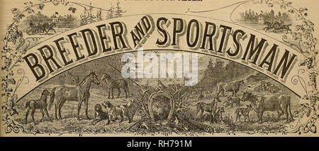 . Züchter und Sportler. Pferde. &Lt;S ^o 24 PAGBS.. SAN FRANCISCO, Samstag, DEZ. 19., 1891. Wie "Alte Folfcs" gewann den Eichen.. Bitte beachten Sie, dass diese Bilder sind von der gescannten Seite Bilder, die digital für die Lesbarkeit verbessert haben mögen - Färbung und Aussehen dieser Abbildungen können nicht perfekt dem Original ähneln. extrahiert. San Francisco, Calif.: [s. n. ] Stockfoto