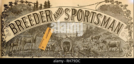 . Züchter und Sportler. Pferde. vol. XLYn. Nr. 3. 3 8 Die Geary Street. SAN FRANCISCO, Samstag, 22. Juli 1905. Abonnement für drei Dollar pro Jahr. Bitte beachten Sie, dass diese Bilder sind von der gescannten Seite Bilder, die digital für die Lesbarkeit verbessert haben mögen - Färbung und Aussehen dieser Abbildungen können nicht perfekt dem Original ähneln. extrahiert. San Francisco, Calif.: [s. n. ] Stockfoto