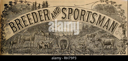 . Züchter und Sportler. Pferde. VOL. XL Nr. 18. 36 GEARY STREET SAN FRANCISCO, Samstag, 3. Mai 1902. Abonnement für drei Dollar ein YEAB. Bitte beachten Sie, dass diese Bilder sind von der gescannten Seite Bilder, die digital für die Lesbarkeit verbessert haben mögen - Färbung und Aussehen dieser Abbildungen können nicht perfekt dem Original ähneln. extrahiert. San Francisco, Calif.: [s. n. ] Stockfoto