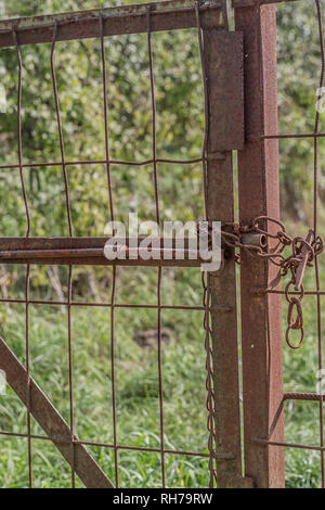 Komplett verrostet Metal Gate mit grüner Vegetation Hintergrund auf einen wunderschönen und sonnigen Tag in den Niederlanden Holland Stockfoto