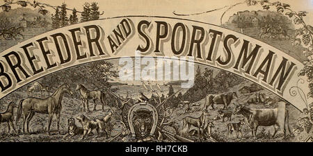 . Züchter und Sportler. Pferde. VOL. XL Nr. 11. S "Geary Street San Francisco, Samstag, März, 1902. Abonnement für drei Dollar pro Jahr. Bitte beachten Sie, dass diese Bilder sind von der gescannten Seite Bilder, die digital für die Lesbarkeit verbessert haben mögen - Färbung und Aussehen dieser Abbildungen können nicht perfekt dem Original ähneln. extrahiert. San Francisco, Calif.: [s. n. ] Stockfoto