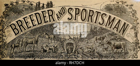 . Züchter und Sportler. Pferde. VOL. XL Nr. 9. 36 Geary Street, SAN FRANCISCO, Samstag, 1. März 1902. Abonnement für drei Dollar pro Jahr. Bitte beachten Sie, dass diese Bilder sind von der gescannten Seite Bilder, die digital für die Lesbarkeit verbessert haben mögen - Färbung und Aussehen dieser Abbildungen können nicht perfekt dem Original ähneln. extrahiert. San Francisco, Calif.: [s. n. ] Stockfoto