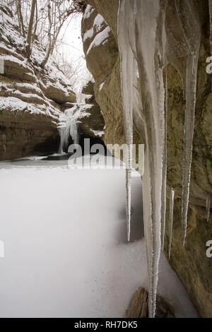 Verhungert Rock State Park, LaSalle County, Illinois, USA Stockfoto