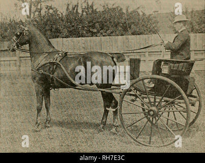 . Züchter und Sportler. Pferde. OtTOBIK 19, 1901]® h £ * 5 rw &Amp; er cuti "^Räder Vorderachse&amp; xnaxt der Farm. Wert der geölten Straßen. Fütterung Weizen Schweine. W. C. Ambrosius, in aletterto die Bäcker-Field Echo, Buchten zum Thema geölt Straßen: "Die Frage, ob Öl beheizt werden soll oder nicht, ist oft gefragt. Die Antwort scheint auf der dünnen Öl- und die Geschwindigkeit, mit der wir es aus der Sprinkleranlage ausführen möchten. Wenn das Öl so dick ist, dass Sie sehr langsam läuft, muss es aufgewärmt werden; aber wenn es fließt ohne weiteres keine Erwärmung notwendig ist. "Im Kern County ausgezeichnete Resultate können gesehen werden, wo Stockfoto