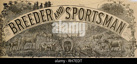 . Züchter und Sportler. Pferde. VOL. XL Nr. 7. 39 die Geary Street. SAN FRANCISCO, Samstag, Februar, 1902. Abonnement für drei Dollar pro Jahr. Bitte beachten Sie, dass diese Bilder sind von der gescannten Seite Bilder, die digital für die Lesbarkeit verbessert haben mögen - Färbung und Aussehen dieser Abbildungen können nicht perfekt dem Original ähneln. extrahiert. San Francisco, Calif.: [s. n. ] Stockfoto